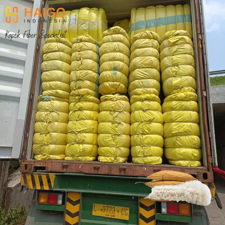 Kapok Fiber packing 100 kg 20feet